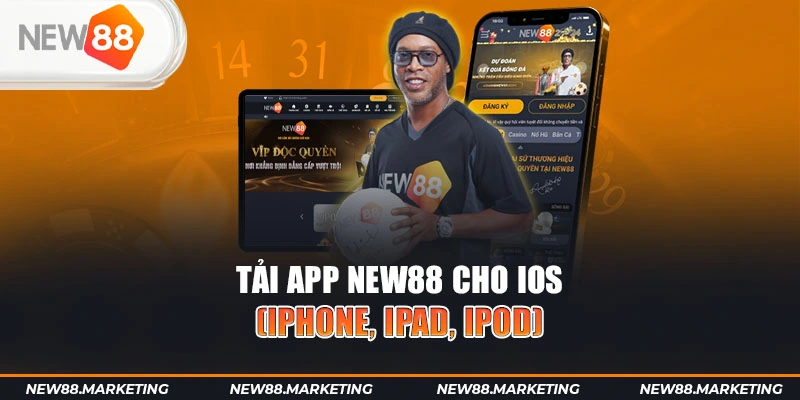 u88 gà chọi cậu thanh