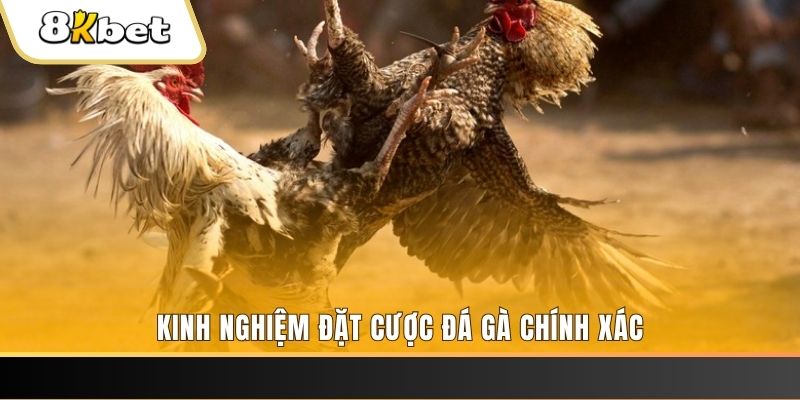 u88 xổ số thứ bảy hàng tuần