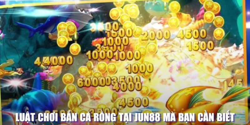 u88 xổ số đài hà nội