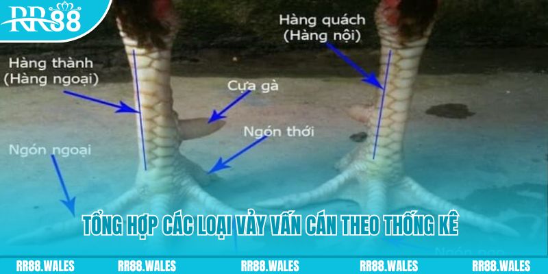 u88 xổ số miền nam thứ sáu