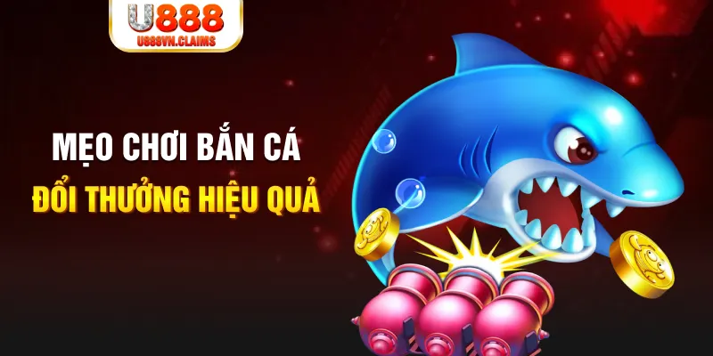 u88 gà chọi cam ranh