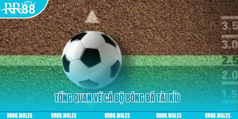 u88 đăng nhập roulette online
