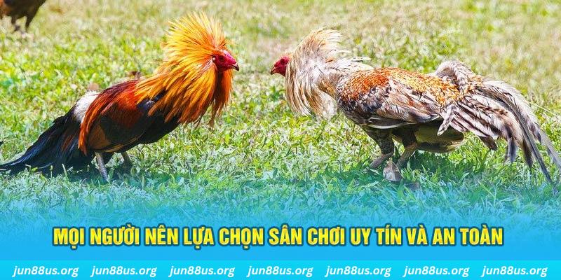 u88 Cỡ bảy