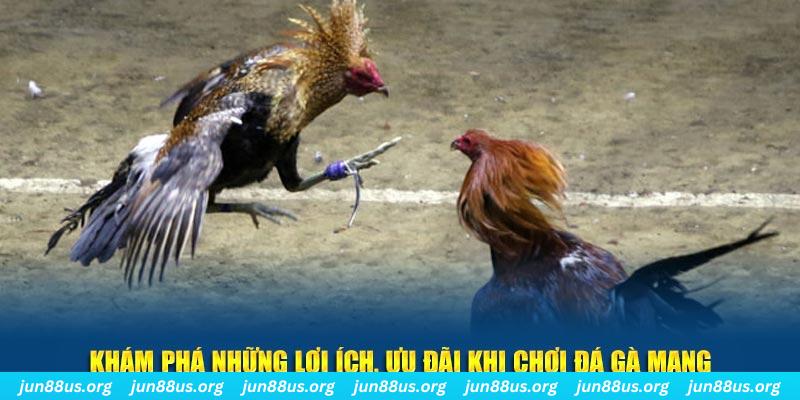 u88 đăng nhập liêng live