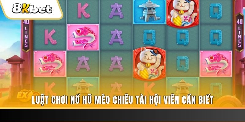u88 gà chọi cu cần