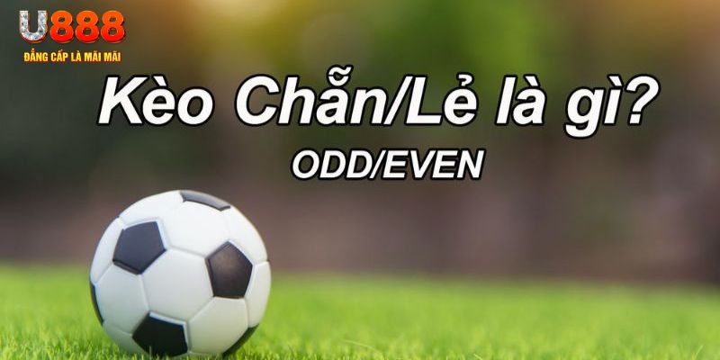u88 đăng nhập sòng bạc 2024