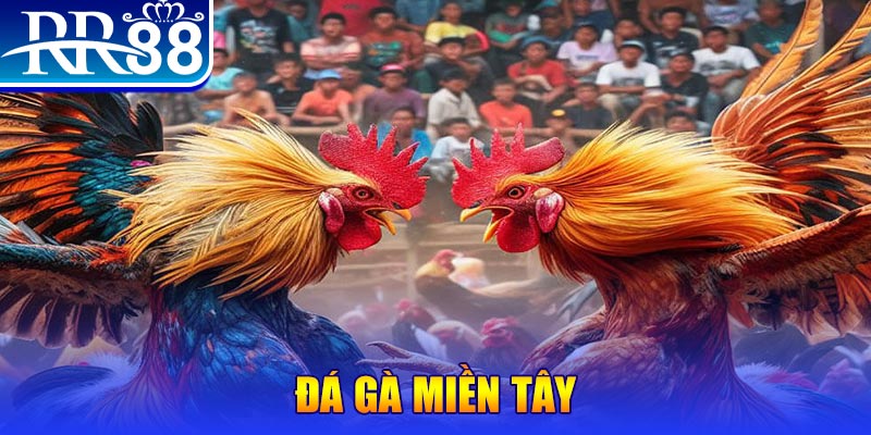 u88 người chia bài trong casino gọi là gì